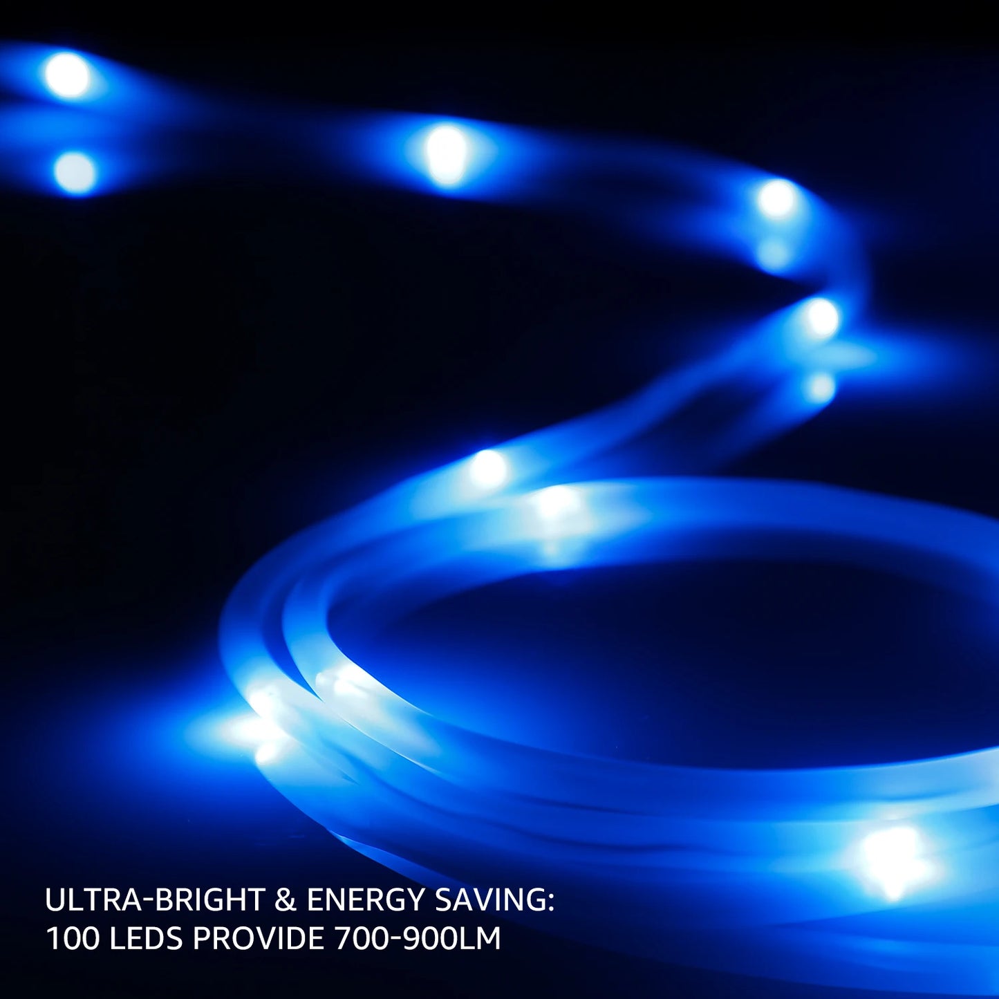 LED Rope Lights, 33ft 100LEDs Fairy String Light, Weatherproof Fairy String Lighting, Christmas Party Indoor, Blue