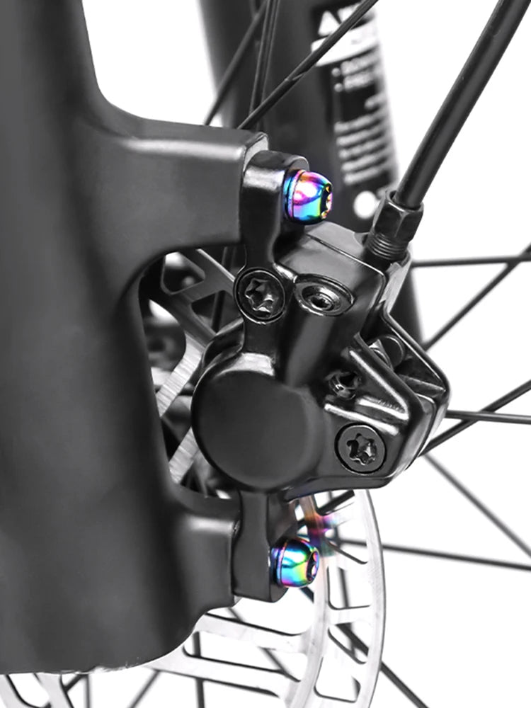 6Pcs M6x17mm Bike Crank Caliper Handlebar Stem Fixing Screws with Washer Bike Disc Brake Clamp Bolts for Fixing Brake Lever